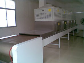 广东福滔 微波牛肉干燥杀菌机厂家直销，以卓越品质引领行业标准