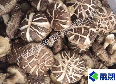 空气能香菇烘干机 高效节能的香菇干燥解决方案